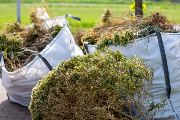 Best Electronics Removal Services  in Lewistown, MT